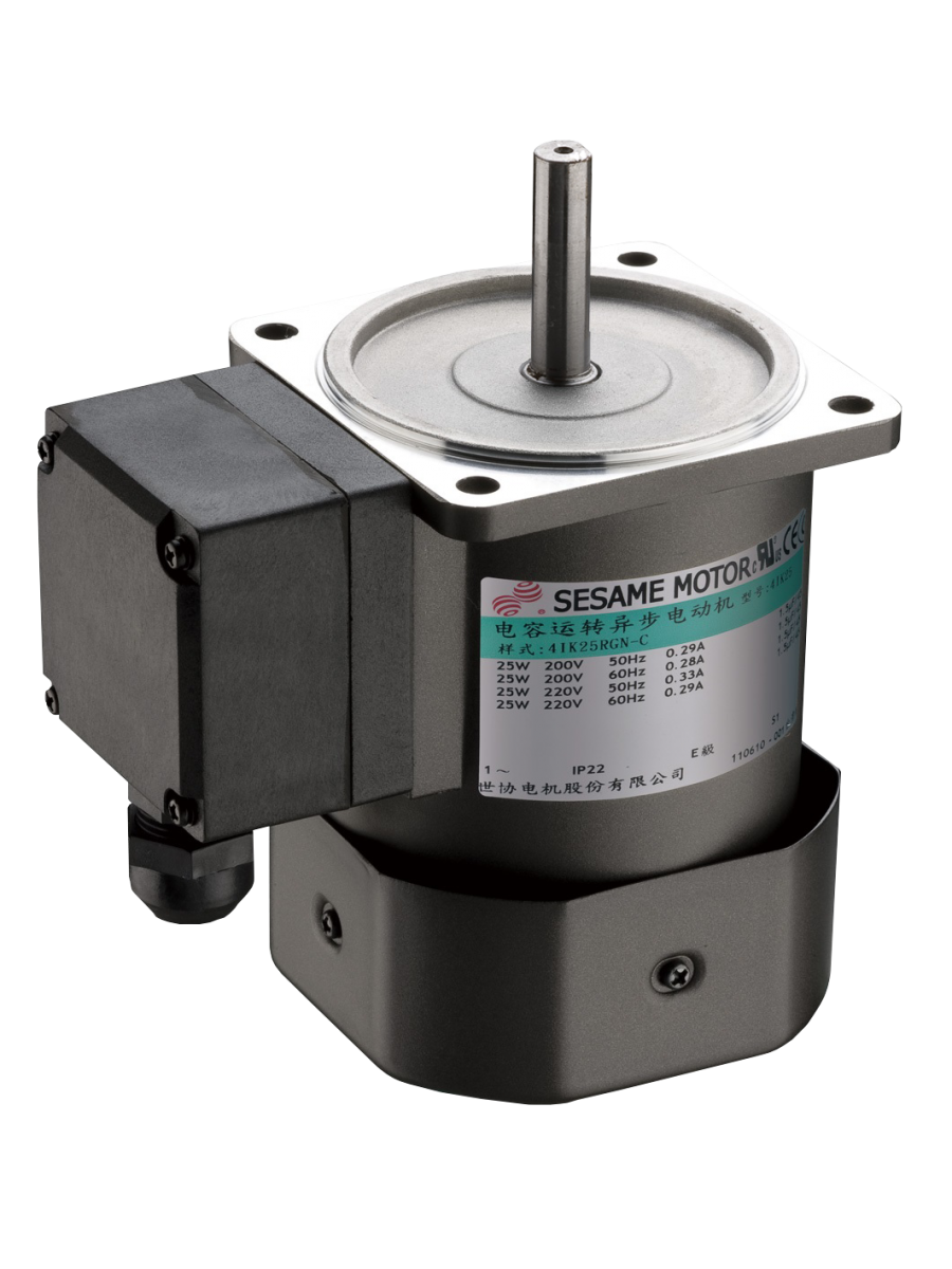 Motore Elettrico Reversibile Sesame 5RK60GN-AFTs - 60W, 110V, 4 Poli Con Ventola E Scatola Piccola